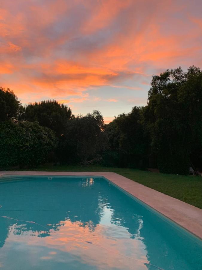 Le Jardin De Lacoste Narbonne Eksteriør bilde