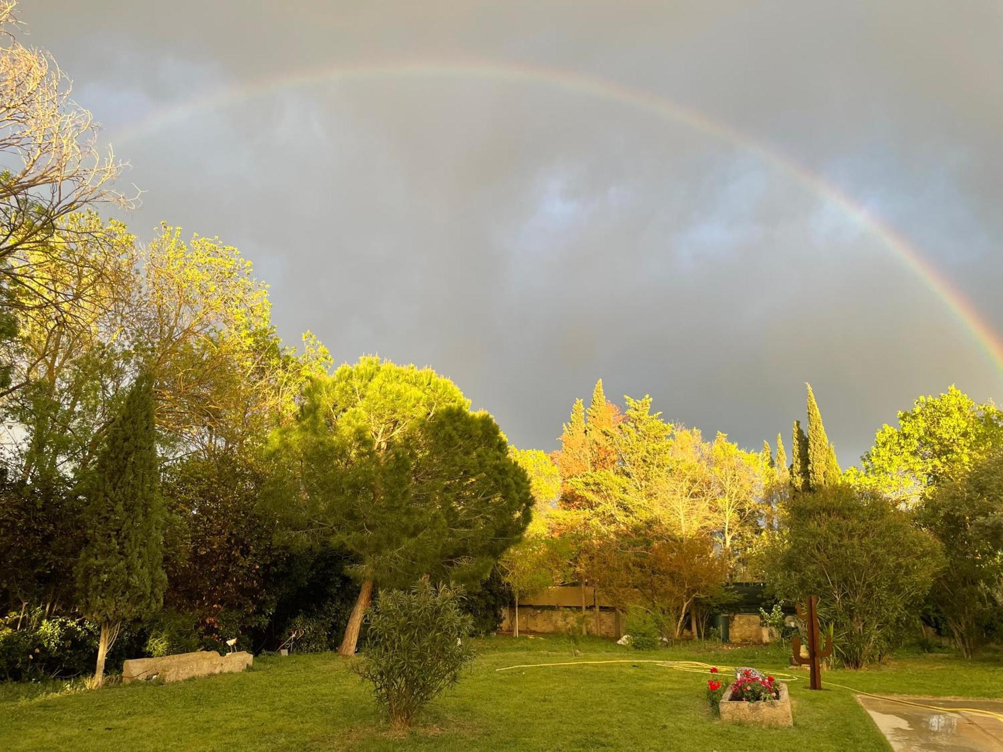 Le Jardin De Lacoste Narbonne Eksteriør bilde