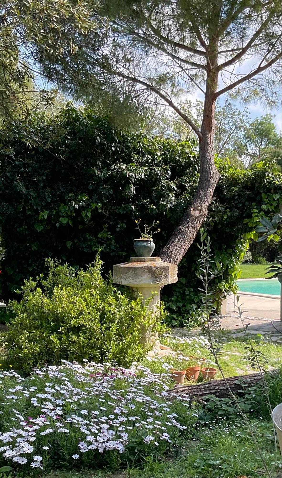 Le Jardin De Lacoste Narbonne Eksteriør bilde